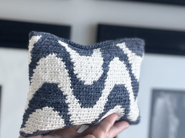 Onda Waves Pouch - Advanced Beginner Level